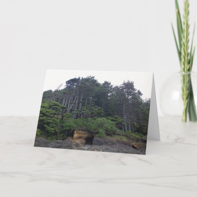 Carte Neptune State Park, OU (Devant)