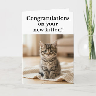 Carte New Kitten Congratulations Sweet Sentimental