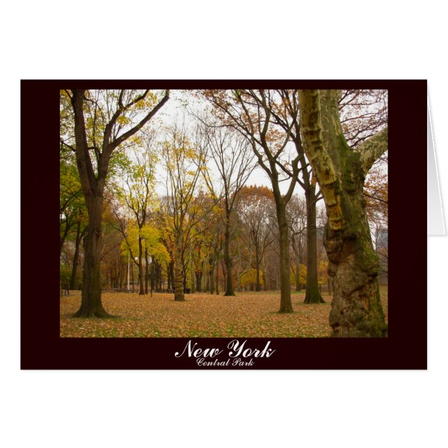 Carte New York Central Park New York Souvenir Card (Devant horizontal)