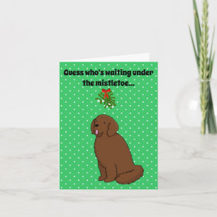 Carte Newfoundland Dog Christmas