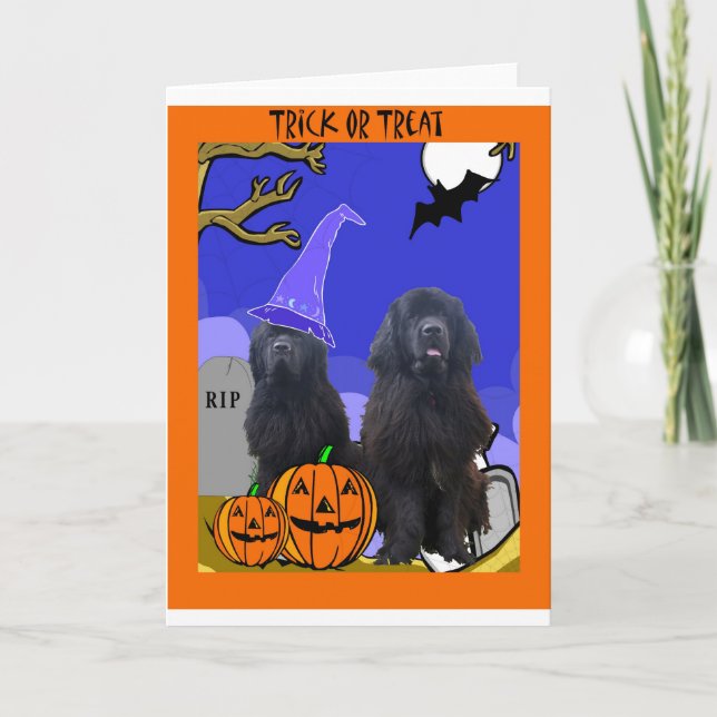 Carte Newfoundland Dogs Halloween (Devant)