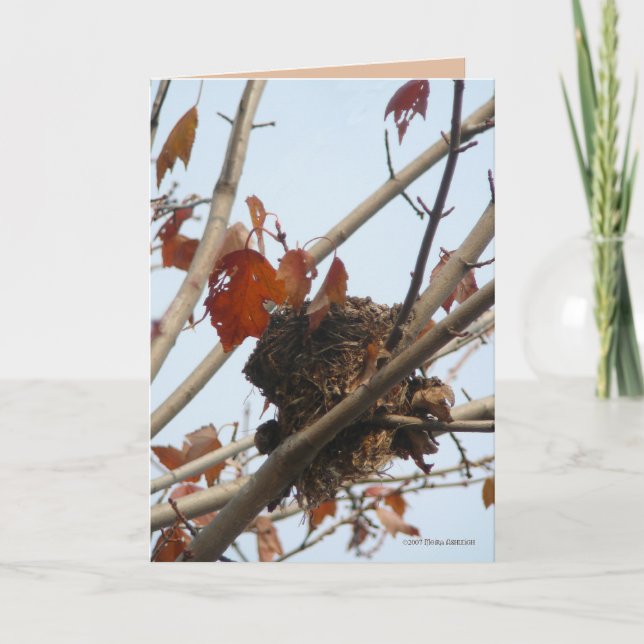 Carte Nid révélé (Devant)