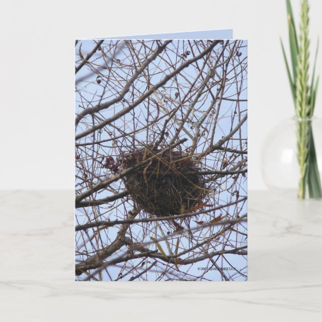 Carte Nid vide (Devant)