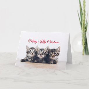 Carte Noël à Cute Kittens