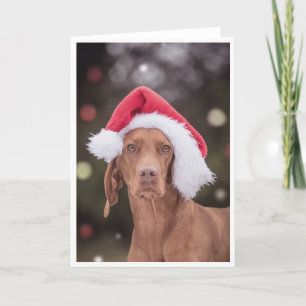 Carte Noël / Carte Noël "Magyar Vizsla"