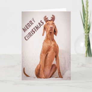 Carte Noël / Carte Noël "Magyar Vizsla"