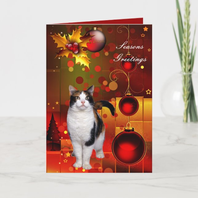 Carte Noël Chat (Devant)