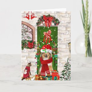 Carte Noël Chien Sheltie 