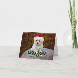 Carte Noël chiot maltais