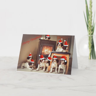 Carte Noël chiot Springer