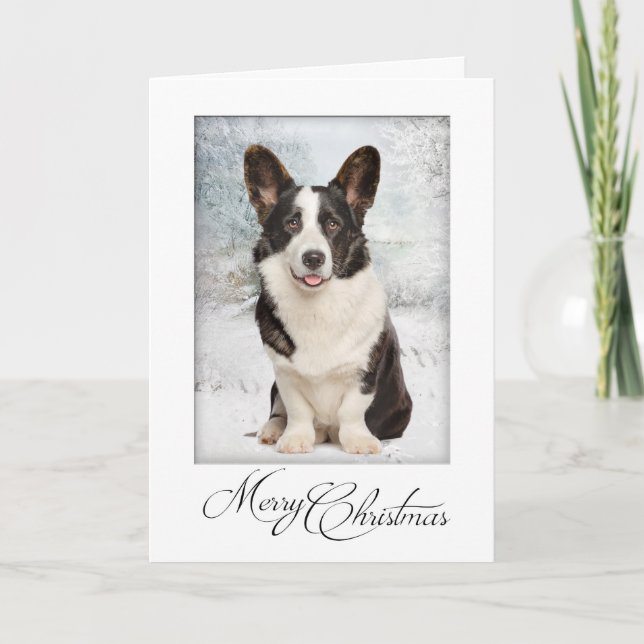 Carte Noël de Corgi (Devant)