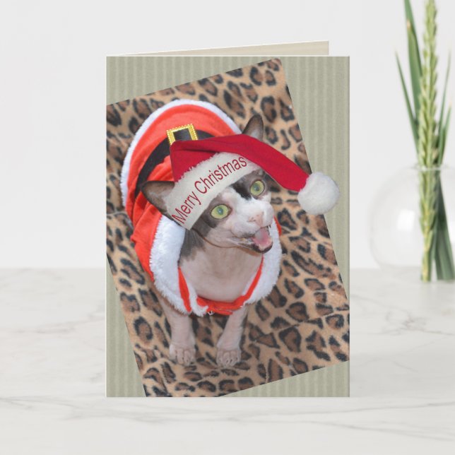 Carte Noël de Ninja Père Noël de chat de Sphynx (Devant)