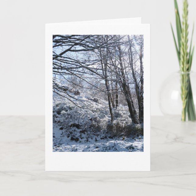 Carte Noël des bois neigeux (Devant)