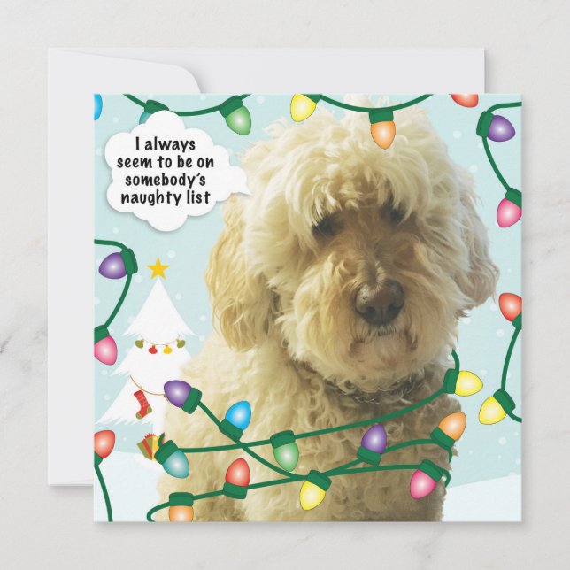 Carte Noël Goldendoodle, Amusement Doodle (Devant)