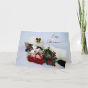 Carte Noël Kitten