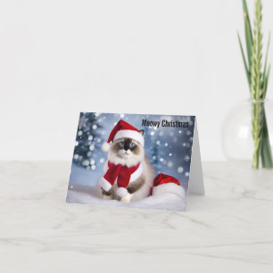 Carte Noël Meowy