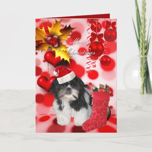 Carte Noël Noël Noël Chien Shitzu Chiot Chiot Coeu (Devant)