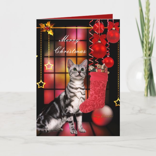 Carte Noël Xmas Chat (Devant)