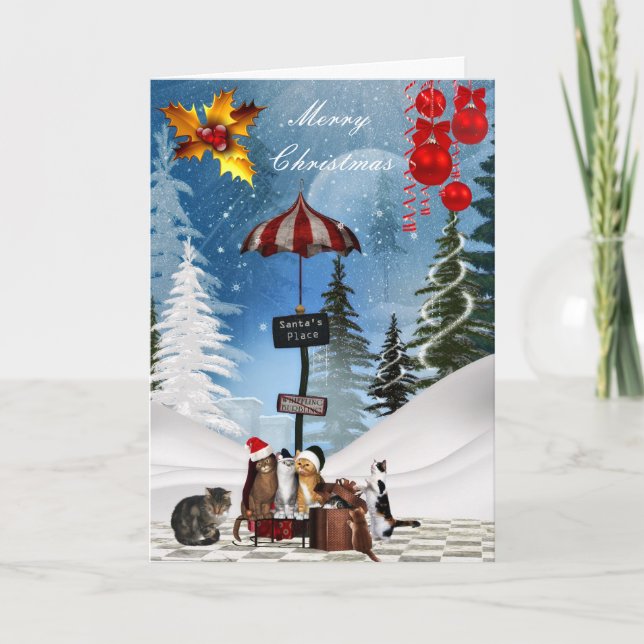 Carte Noël Xmas Chats Chapeau Neige (Devant)