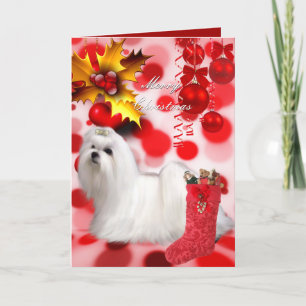 Carte Noël Xmas Chien Maltais Chiots Cœurs