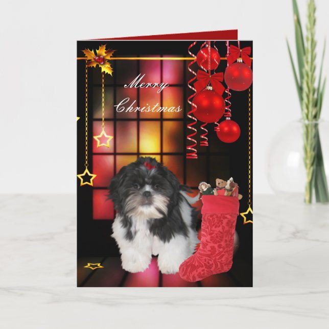 Carte Noël Xmas Chien Shitzu Chiot (Devant)