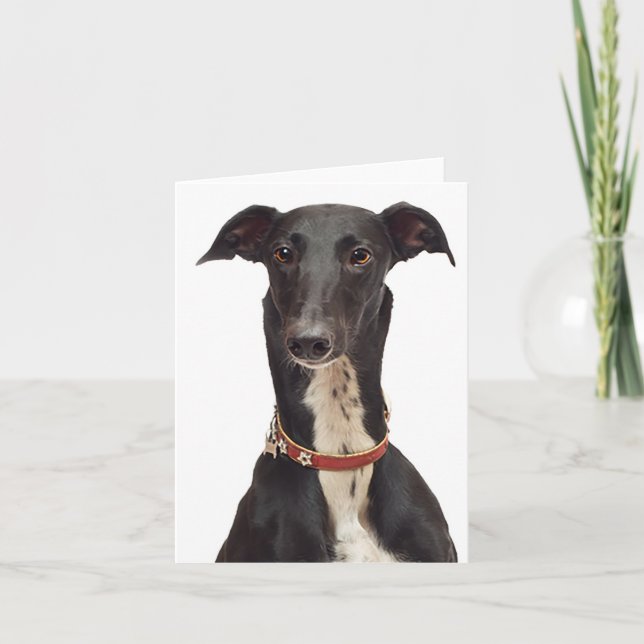 Carte Noir & Blanc Greyhound Chien Chien Chien Bla (Devant)