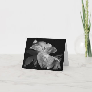 Carte Noir & Blanc Orchidée