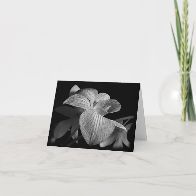 Carte Noir & Blanc Orchidée (Devant)