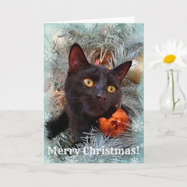 Carte Noir Chat Joyeux Noël (Petite plante)