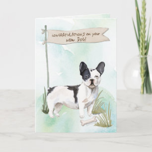 Carte Noir et Blanc, Chiens de taureau français, félicit