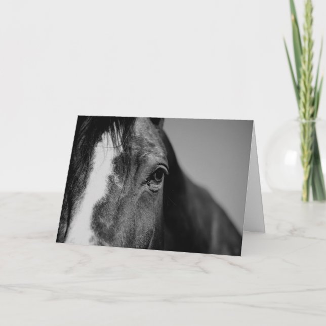 Carte Noir et blanc Gros plan Cheval Oeil OEuvre (Devant)