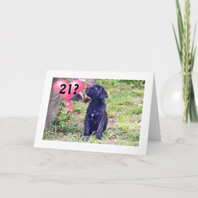 CARTE NOIR LAB PUPPY DIT : "JOUISSONS DU 21E ANNIVERSAIR (Devant)