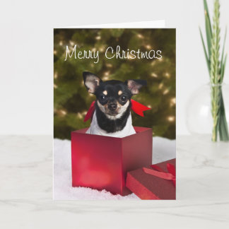 Carte Noire Chihuahua Christmas