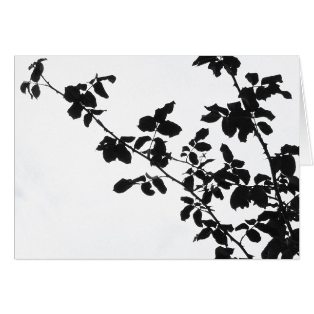 Carte noire de branches (Devant horizontal)