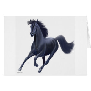 Carte noire de cheval de pur sang