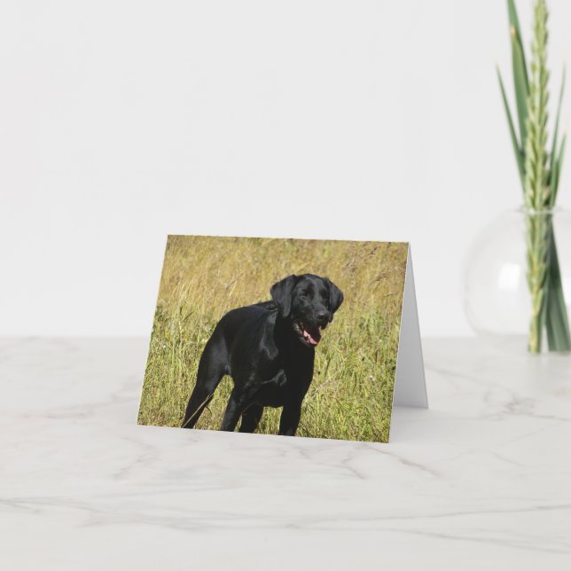 Carte Noire de note blanche pour Chien de Chien de (Devant)