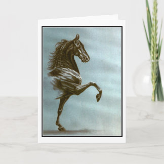 Carte noire de Saddlebred