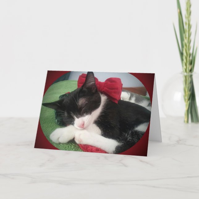 Carte noire et blanche de délivrance de chat de (Devant)