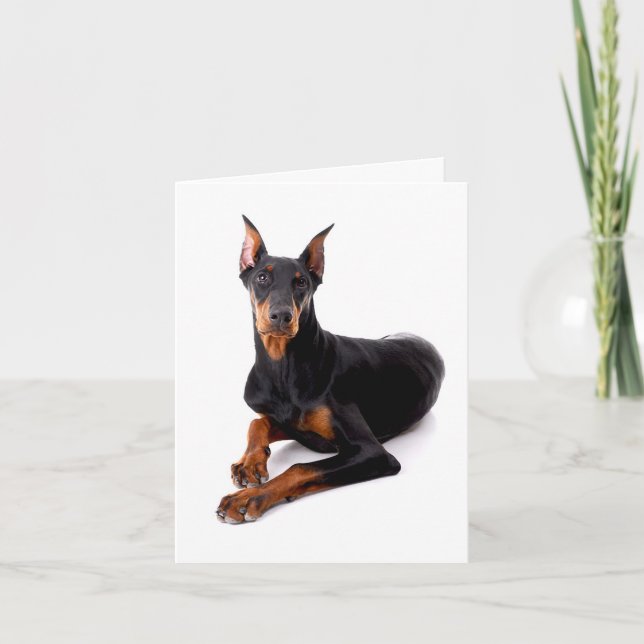 Carte non écrite de chiot Doberman Pinscher (Devant)