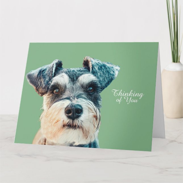 Carte Norfolk Terrier (Devant)