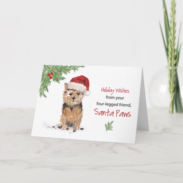 Carte Norfolk Terrier Christmas From Dog à Funny Santa (Devant)