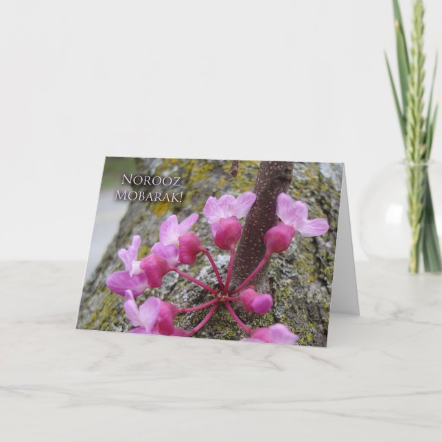 Carte Norooz, Redbud Tree in Bloom, photo de printemps (Devant)