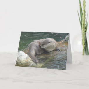 Carte North American River Otter #2