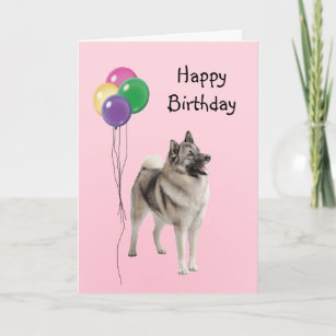 Cartes Norvegien D Anniversaire Zazzle Fr