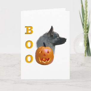 Carte Norvégien Elkhound Boo