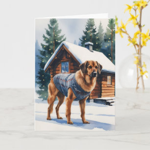 Carte Norvégien Elkhound Chien Noël Salutation