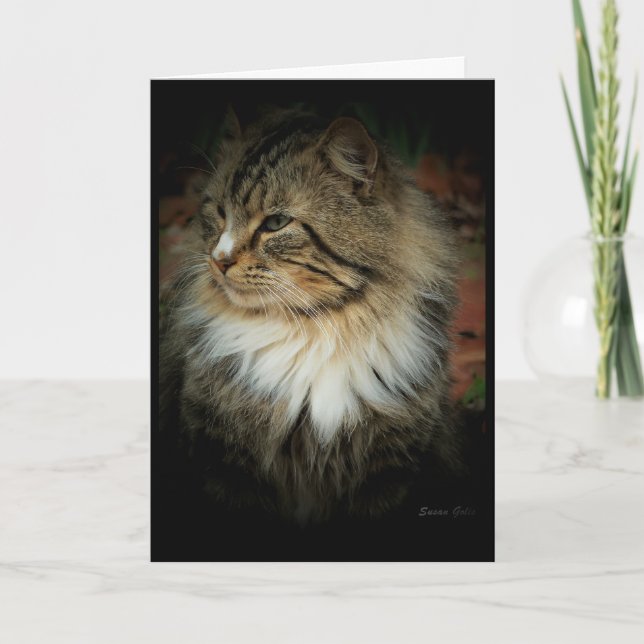 Carte Norvégien vous manque Chat de forêt (Devant)