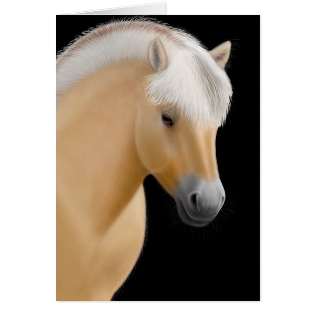 Carte norvégienne du fjord Horse (Devant)