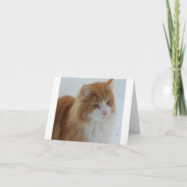 Carte Norwegian_Forest_Cat (Devant)