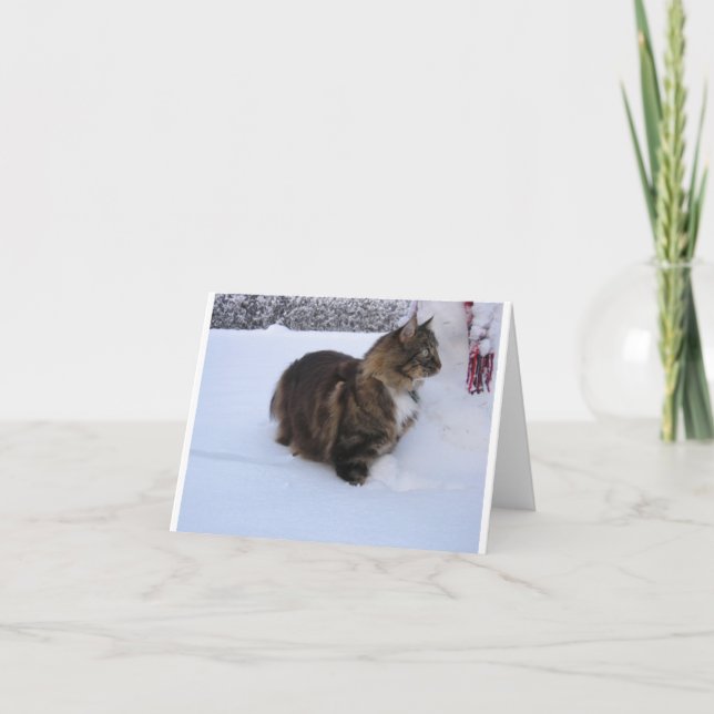 Carte norwegian forest cat in snow (Devant)